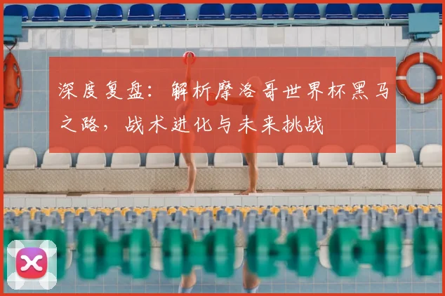 深度复盘:解析摩洛哥世界杯黑马之路,战术进化与未来挑战